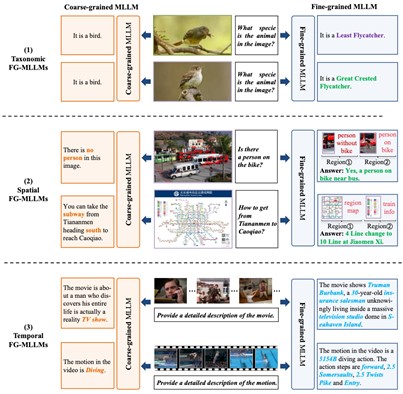 图4 细粒度感知定义.jpg